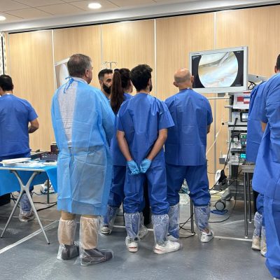 Imagen de WhatsApp 2024-09-20 a las 11.59.15_62cc7209